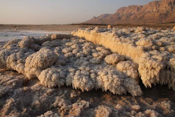 Rose Dead Sea Neve Zohar Hotel Szoba fotó