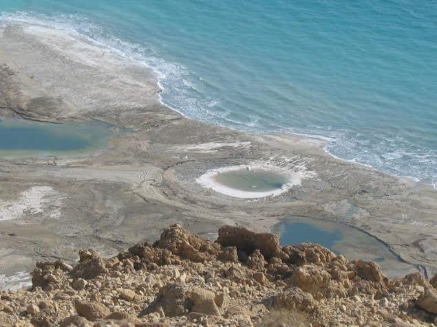 Rose Dead Sea Neve Zohar Hotel Szoba fotó