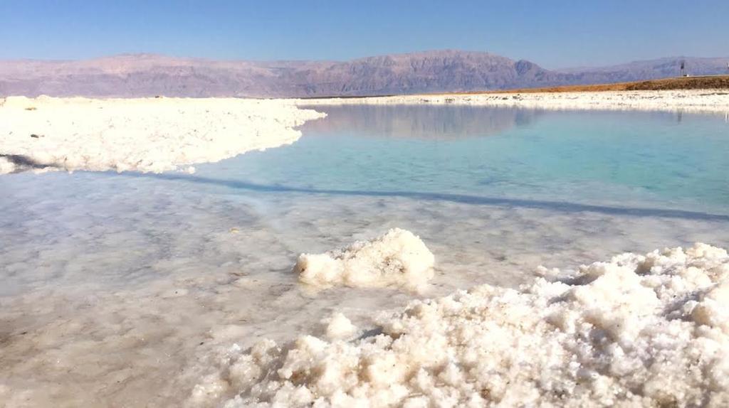 Rose Dead Sea Neve Zohar Hotel Kültér fotó